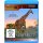 Serengeti - Wunderwelt der Tiere - Blu-ray - Neu/OVP