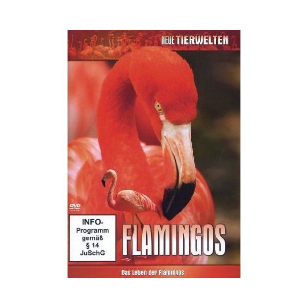 Flamingos - Das Leben der Flamingos - DVD/NEU/OVP