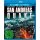 San Andreas Quake - 3D Blu-ray - NEU/OVP