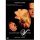 Zauber der Venus - Glenn Close   DVD *HIT* Neuwertig