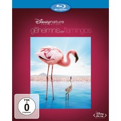 Das Geheimnis der Flamingos - Disney   Blu-ray/NEU/OVP