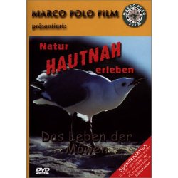 Natur hautnah erleben - Das Leben der Möwen   DVD...