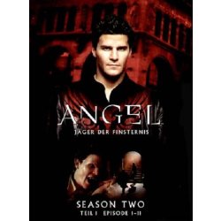 Angel - J&auml;ger der Finsternis: Season 2.1 (Episoden...