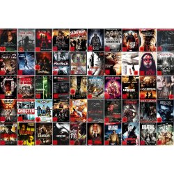 Paket mit 60 Horror/Actionfilmen auf  54 DVDs/NEU/OVP FSK...